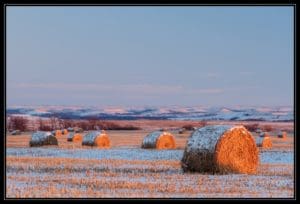 Snow Covered Bales Snow Covered Bales