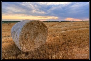 Baled Baled